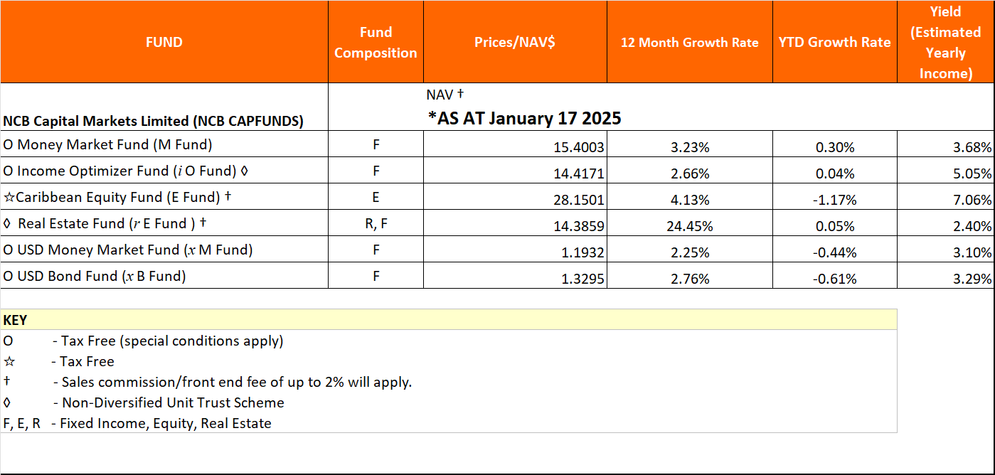 NAV Jan17 2025