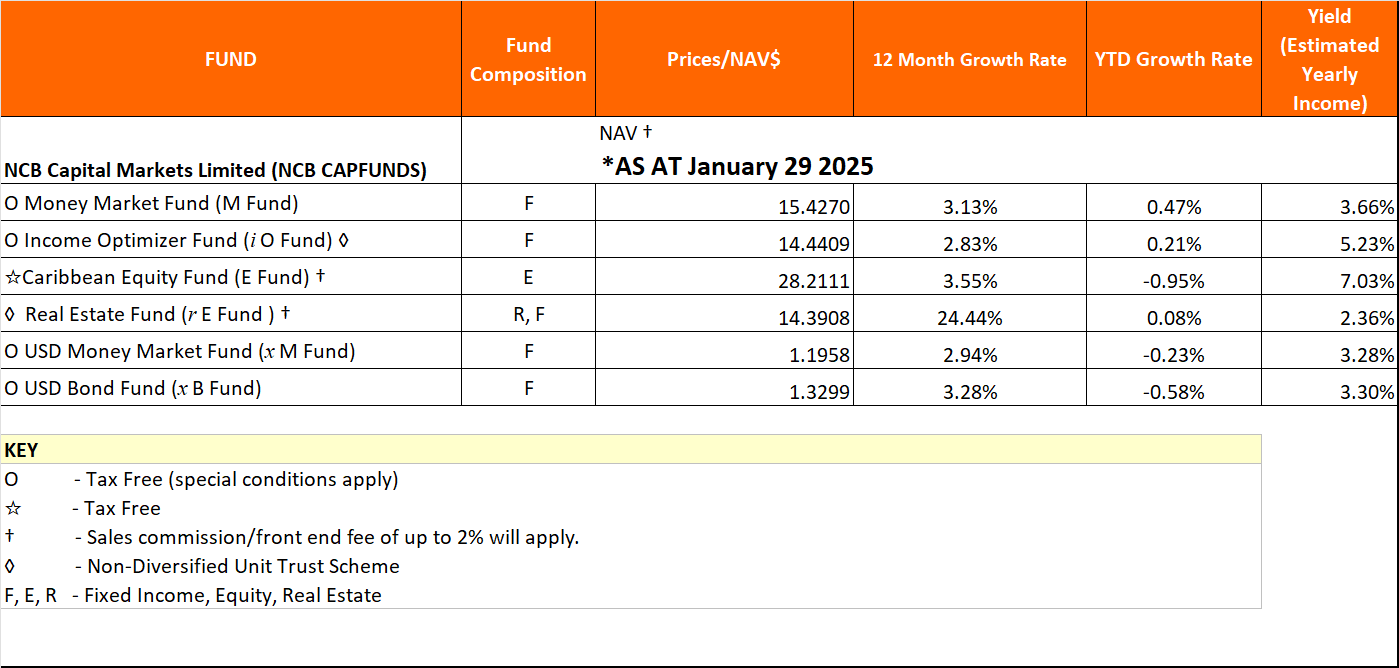 NAV Jan29 2025